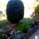 Crown Residence - Nuwara Eliya