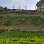 Chandrasobana Guest house