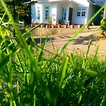 Homestay Mountain View *