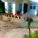 Homestay Mountain View *