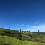 Atlan Nuwara Eliya