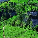 Royal Hills Hotel Nuwara Eliya