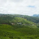 Ovi Court City Apartments Nuwara Eliya