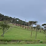 Yensfield Blackpool 3* Nuwara Eliya