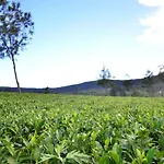 Hotel Yensfield Blackpool Nuwara Eliya