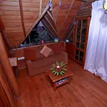 The Log