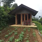 Misty Villa
