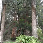 Woods Hut Homestay Nuwara Eliya