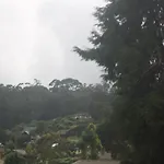 Homestay Dream Hill *