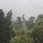 Homestay Dream Hill *