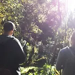 Homestay Woods Hut *
