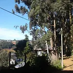 Woods Hut Homestay