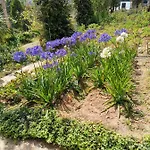 The Galways Edge * Nuwara Eliya