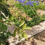 Homestay The Galways Edge