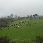 Hotel Vishmi's Rest Nuwara Eliya