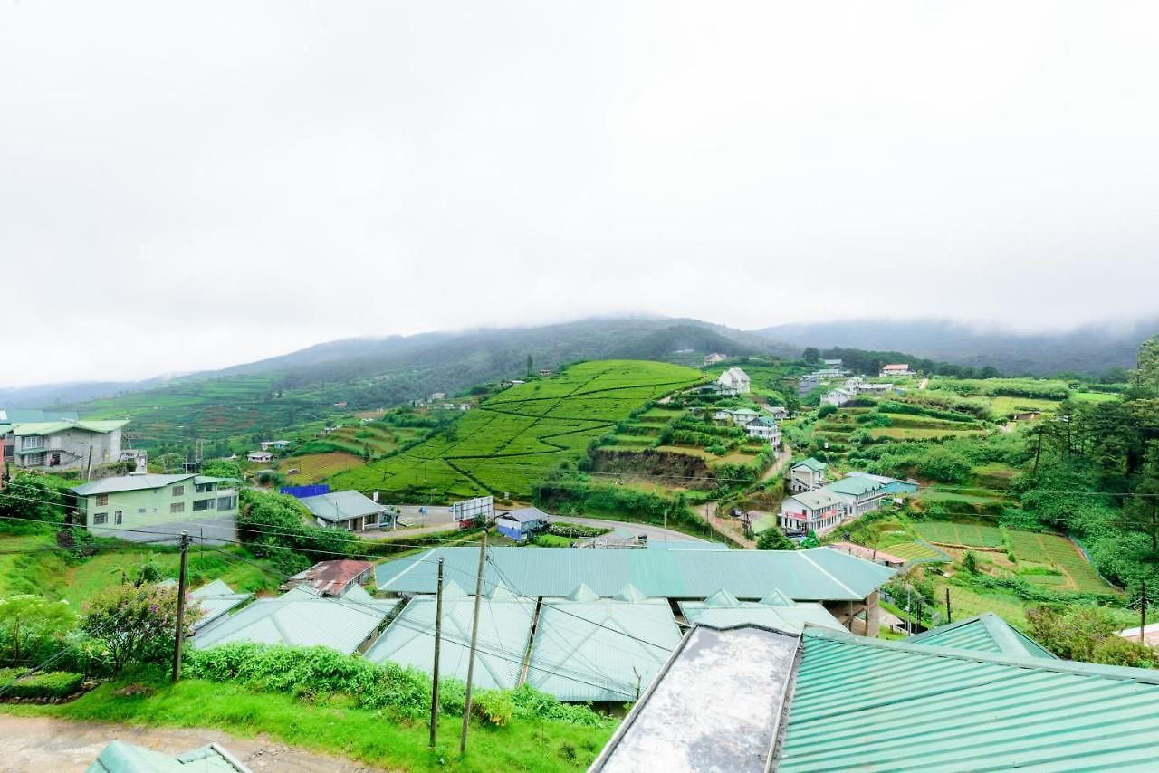 Hummingbird Hill