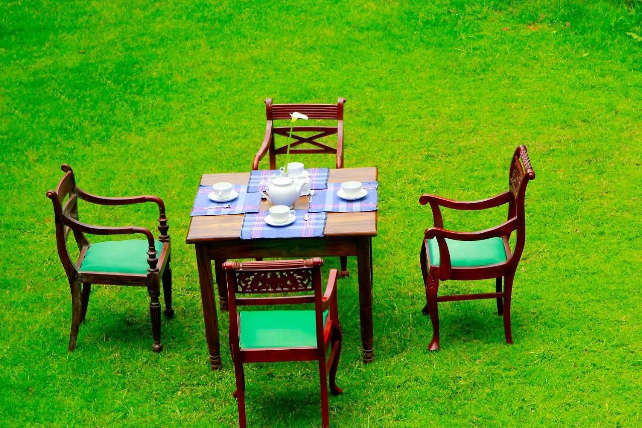 Hotel Green Forest
