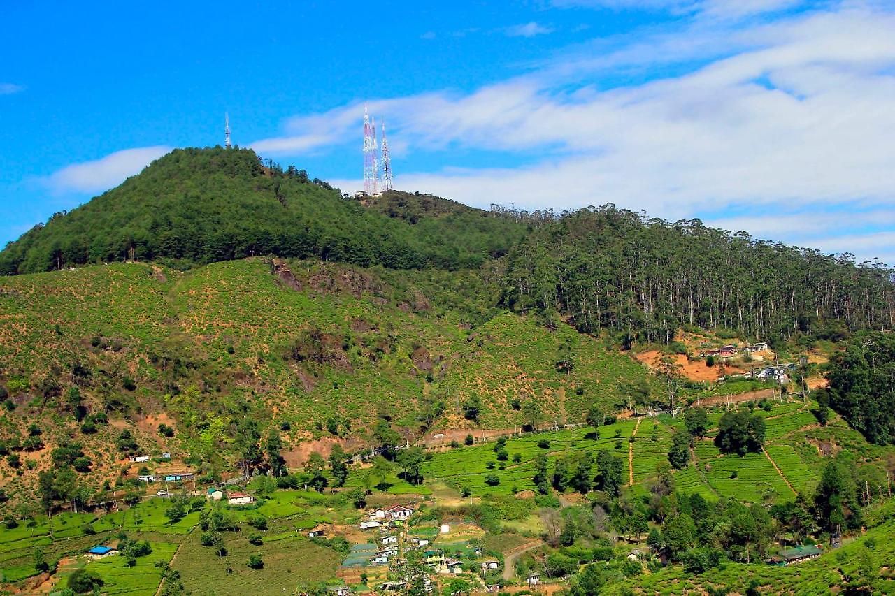 Hotel Green Forest 3*
