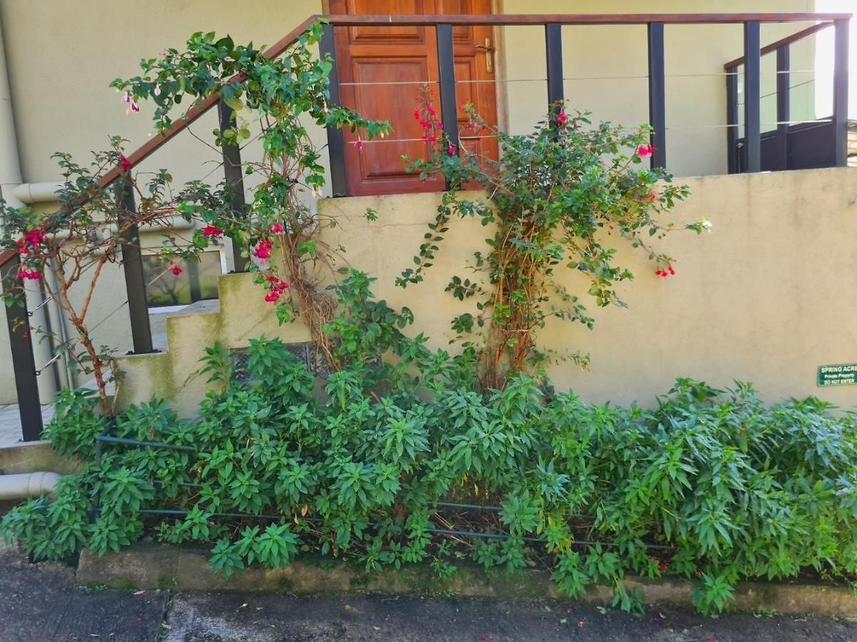 Spring Acre Villa