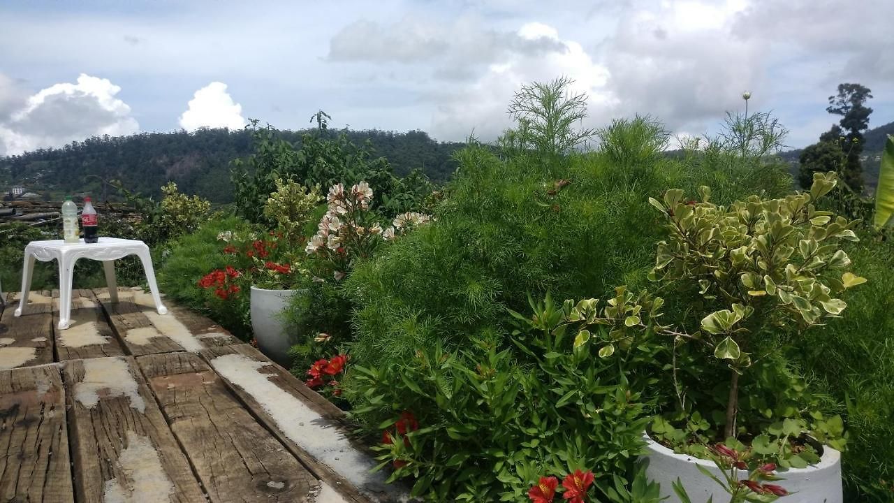 Container Edge Nuwara Eliya