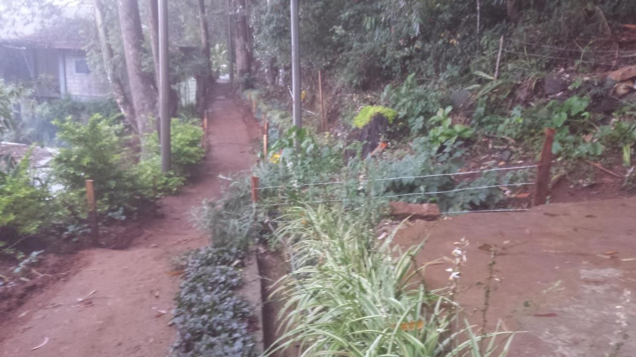 Homestay Woods Hut *