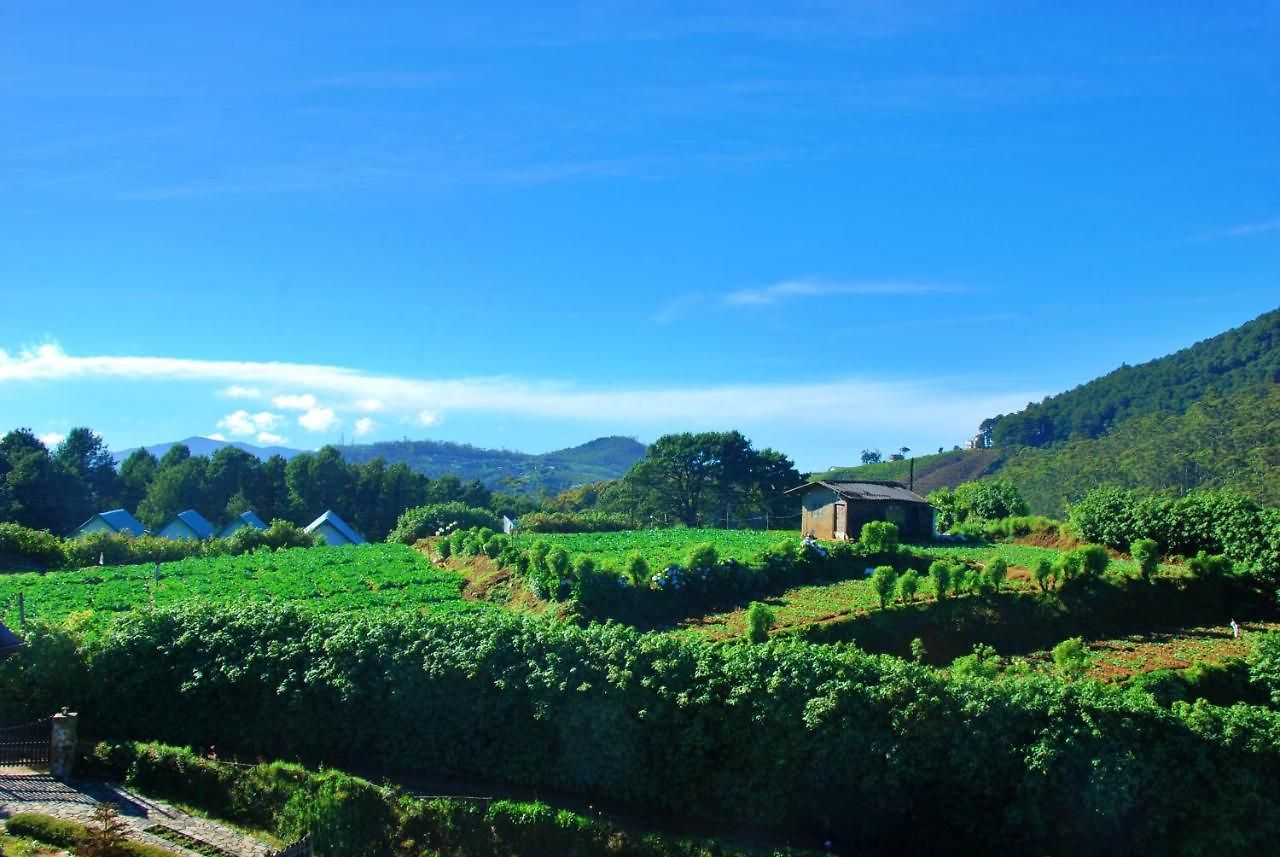 San Francesco