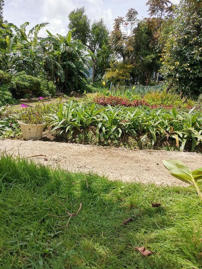 The Galways Edge * Nuwara Eliya