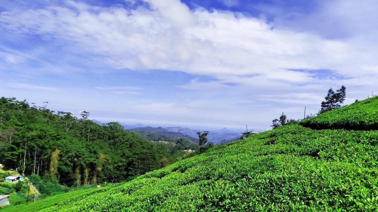 The Royal Terrace Bed & Breakfast Nuwara Eliya