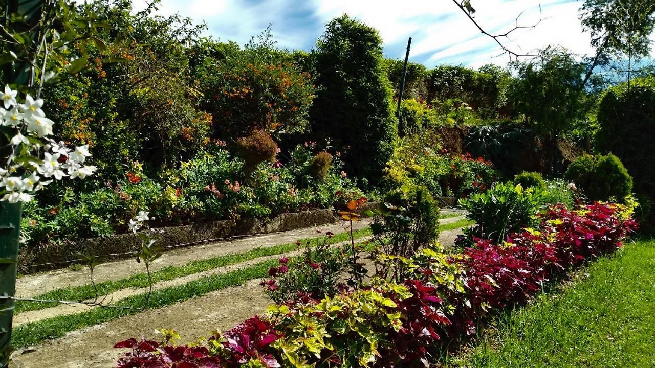The Royal Terrace Bed & Breakfast 3*