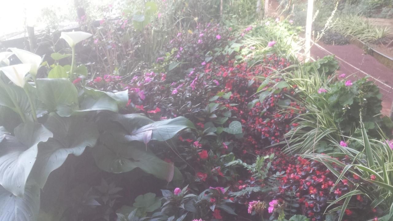 Homestay Woods Hut