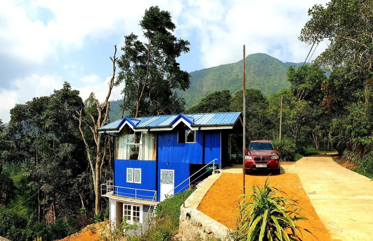 Kithul * Nuwara Eliya