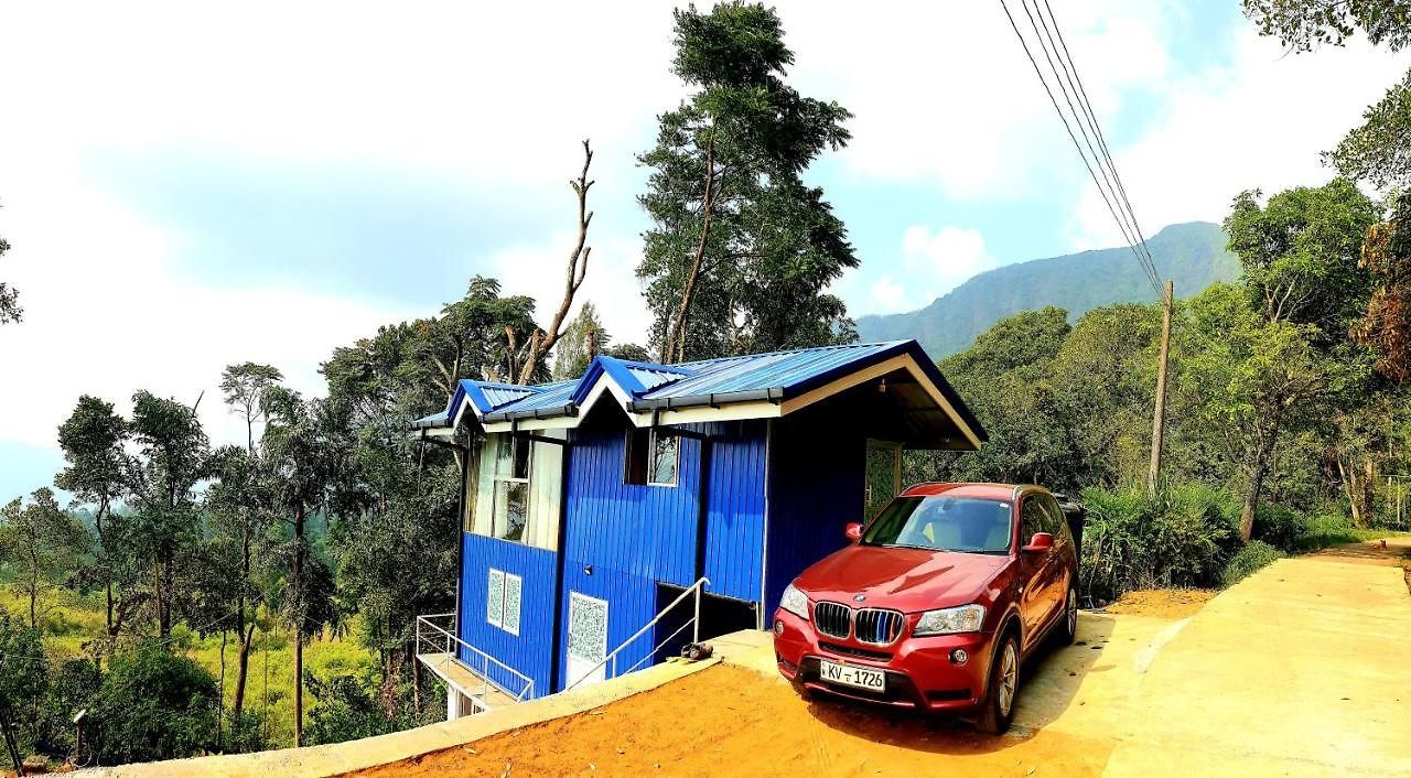 Kithul * Nuwara Eliya
