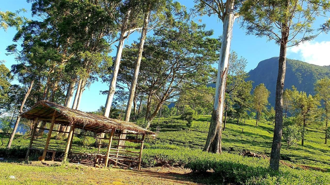 Kithul Apartment Nuwara Eliya