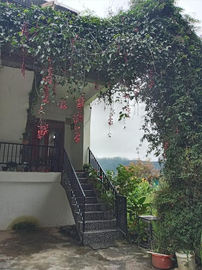 La Rose Geust House *