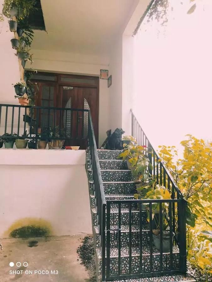 Homestay La Rose Geust House