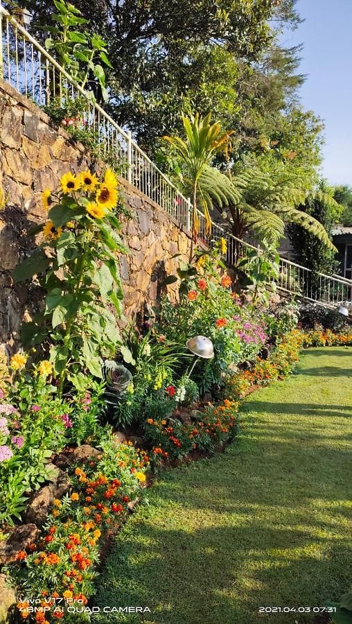 Misty Paradise Of Gregory 3* Nuwara Eliya