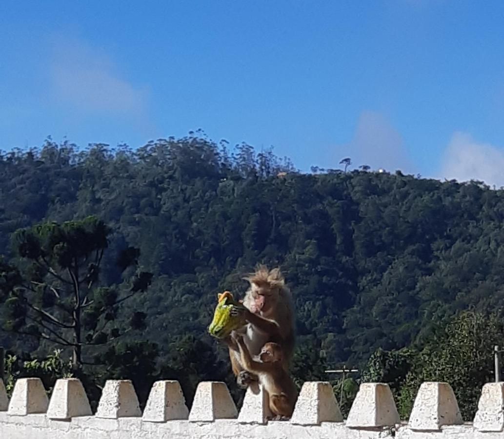 Dutch Nuwara Eliya