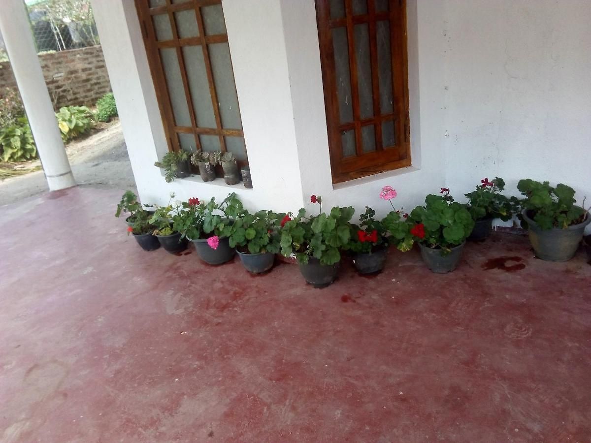 Guest house New Jayamasa Homestay