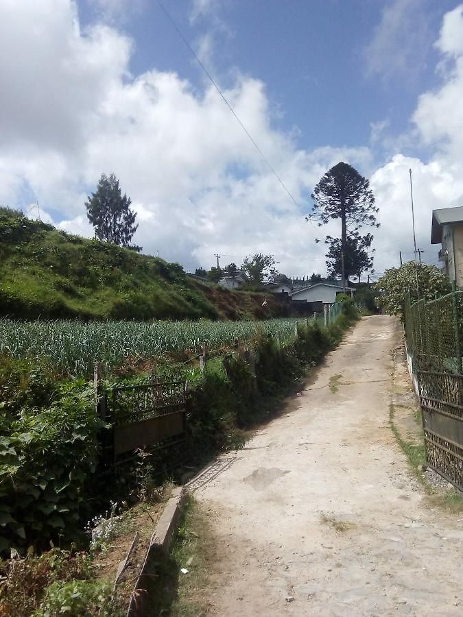 Guest house New Jayamasa Homestay *