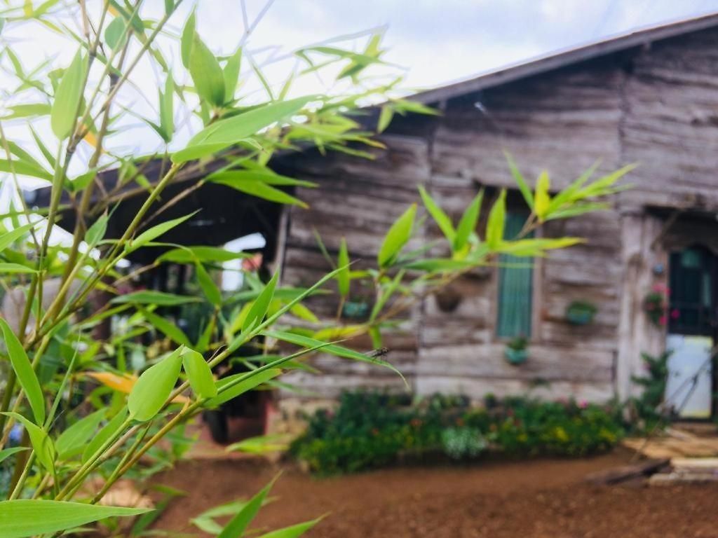Silonya Holiday Guest house