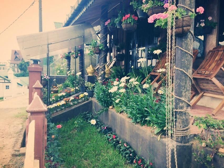 Silonya Holiday Guest house *