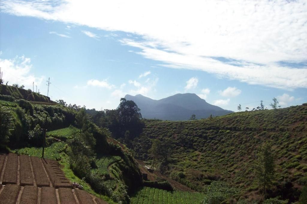 Guest house New Jayamasa Homestay