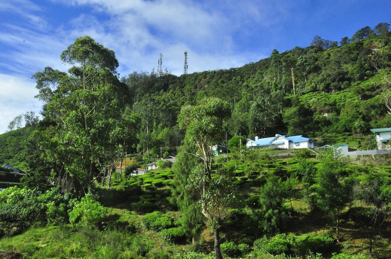 Summer Glow Guest - Nuwara Eliya