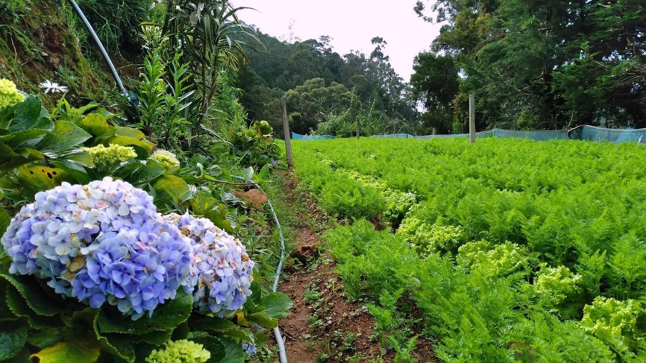 Forestside & Hotel Nuwara Eliya