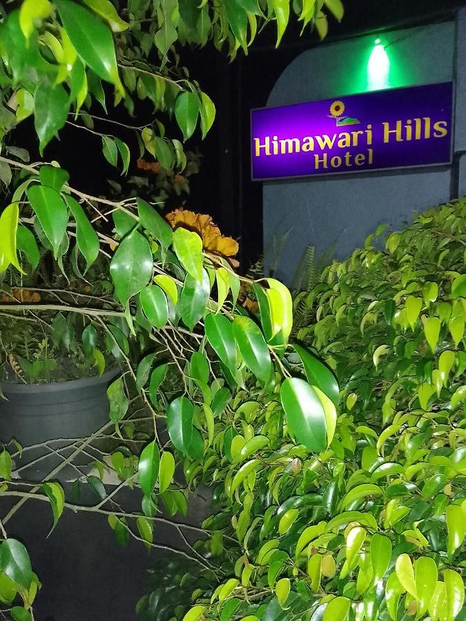 Himawari Hills
