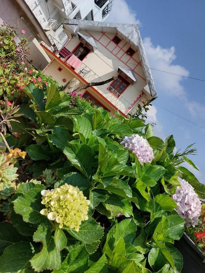 Chandrasobana Guest house 3*