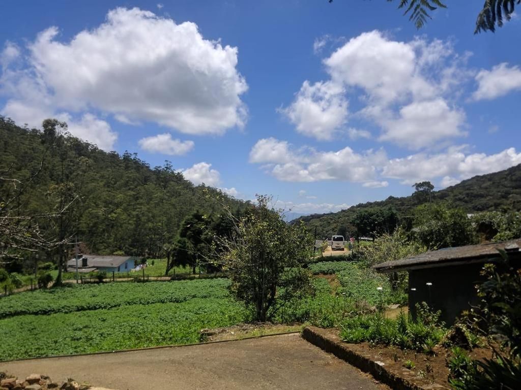 Acme Divine View *