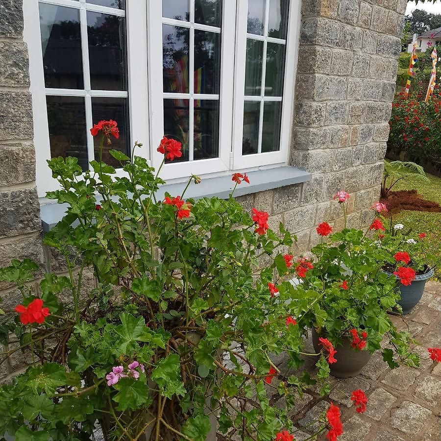 The Planter's Legacy By Fairway Villa Nuwara Eliya