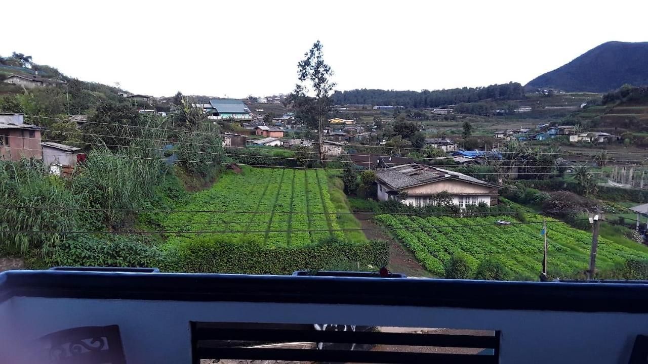 The New View