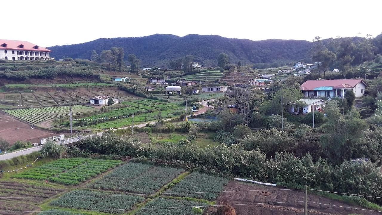 The New View Nuwara Eliya